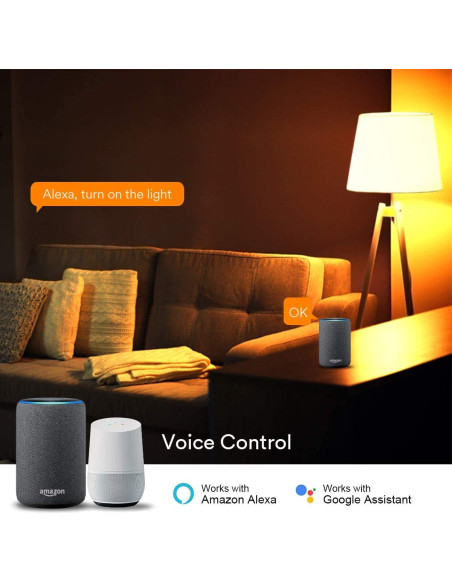Lampadina LED E27 con Filamento Smart Controllo Vocale Alexa F