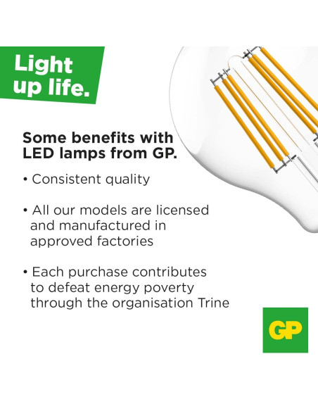 Lampada LED Globo E27 Bianco Caldo 12W