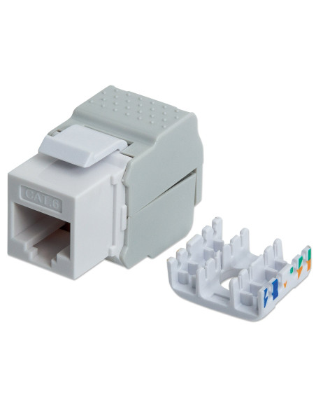 Frutto Keystone RJ45 UTP Cat6 Bianco