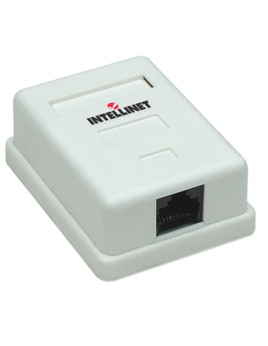 Presa a Muro con Frutto RJ45 Cat. 5E UTP Beige