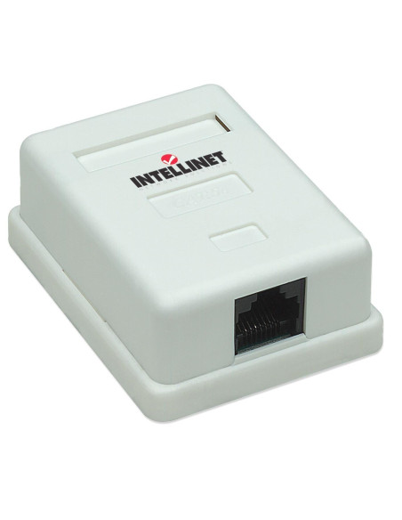 Presa a Muro con Frutto RJ45 Cat. 5E UTP Beige