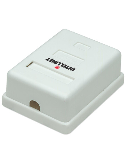 Presa a Muro con Frutto RJ45 Cat. 5E UTP Beige