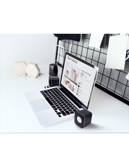 Casse Acustiche Mini per Notebook
