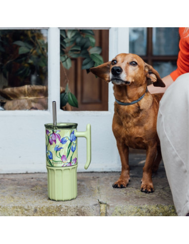 Quokka Umi – Stainless Steel Thermal...