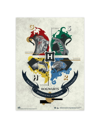 Harry Potter - Set di 2 poster da...