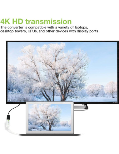 Adattatore Passivo DisplayPort Maschio a HDMI Femmina 4K 30Hz