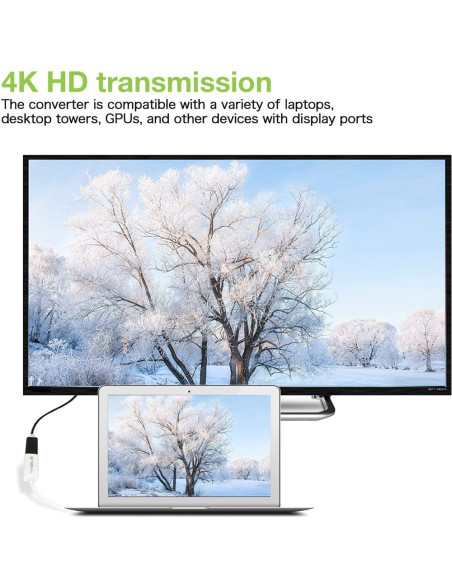 Adattatore Passivo DisplayPort Maschio a HDMI Femmina 4K 30Hz