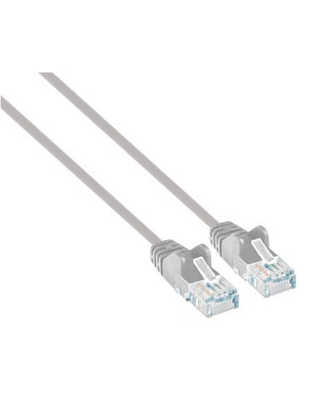 Cavo patch di rete Cat6 UTP Slim  3 m grigio
