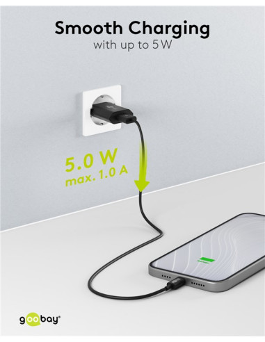 Caricatore USB 1A 5W Compatto Spina Europea Nero