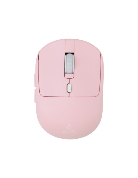 Mini Mouse Ottico Wireless 6D 3200 Dpi Rosa