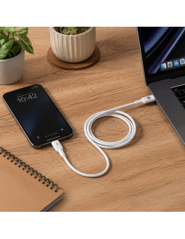 Cavo USB-C&trade Maschio / USB-C&trade Maschio 2.0 PD 60W 1