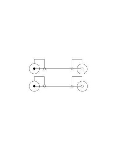 Cavo Prolunga M/F 2xRCA 10mt