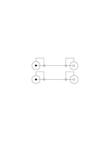 Cavo Prolunga M/F 2xRCA 10mt