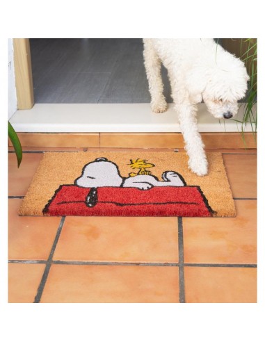Snoopy - Doormat