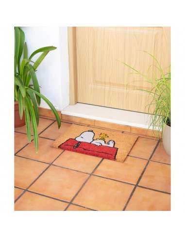 Snoopy - Doormat