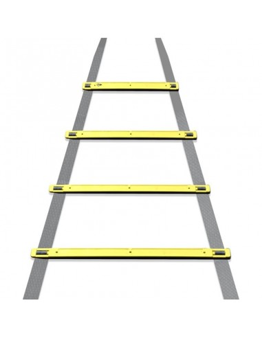 Dunlop - Coordination ladder