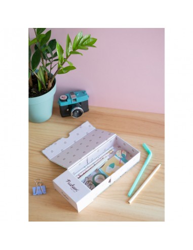 Pusheen - Organizer da scrivania...