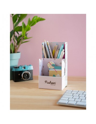 Pusheen - Organizer da scrivania...