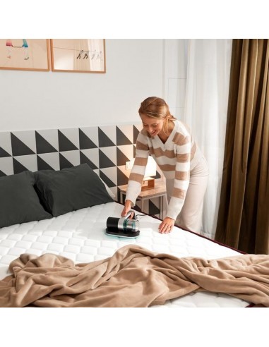 Cecotec Conga RockStar 3000 Mattress...