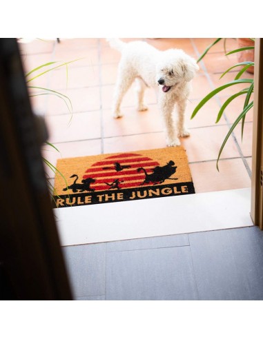 Lion King - doormat (40 x 60 cm)