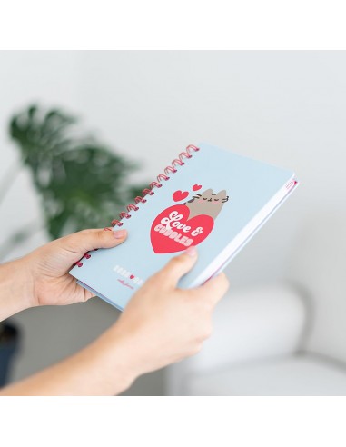 Pusheen - Calendario / Planner...