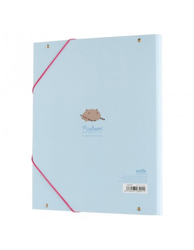 Pusheen - Cartella/borsa...