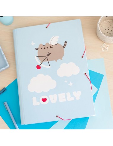 Pusheen - Cartella/borsa...