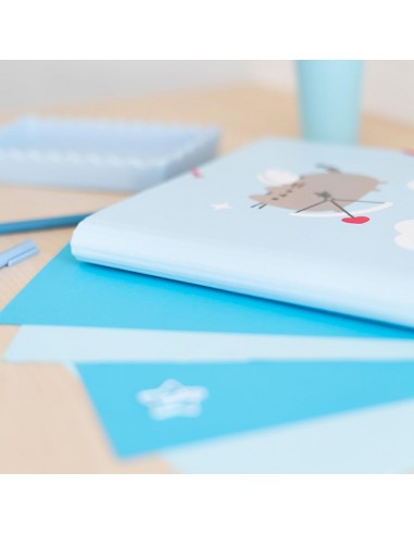 Pusheen - Cartella/borsa...