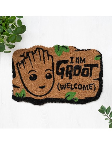I Am Groot - doormat (40 x 60 cm)