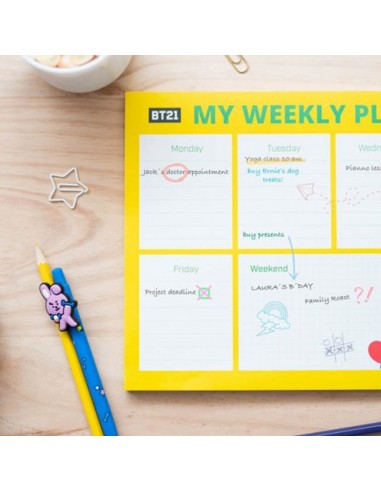 BT21 - Weekly planner 54 A4 pages