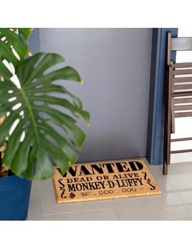 One Piece - Monkey D. Luffy doormat...