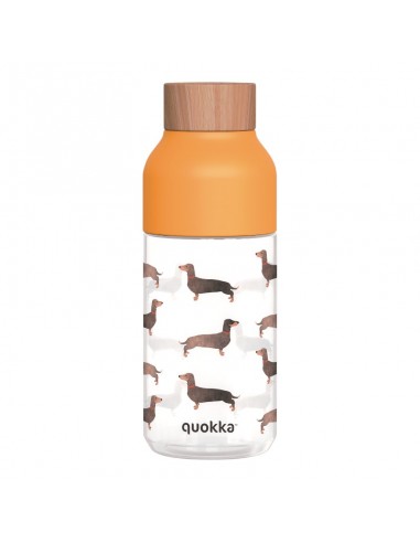 Quokka Ice - ecozen Borraccia 570 ml...