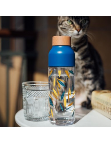 Quokka Ice - ecozen Borraccia 720 ml...