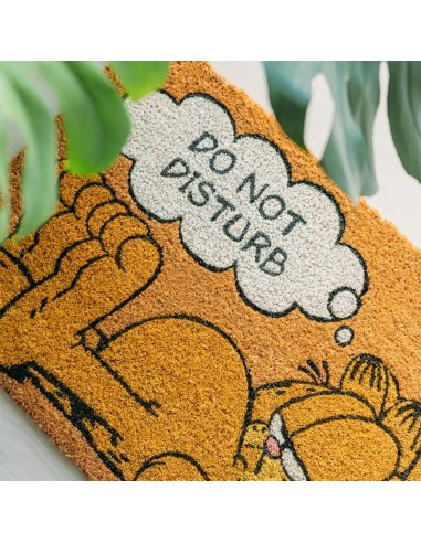 Garfield - Doormat (40 x 60 cm)