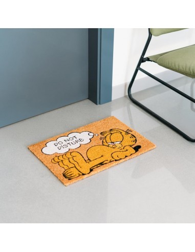 Garfield - Doormat (40 x 60 cm)