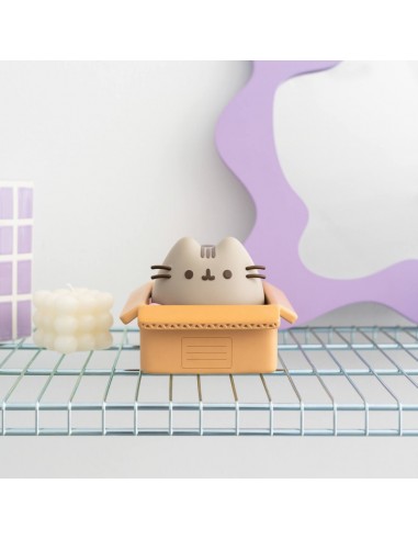 Pusheen - Salvadanaio in vinile kawaii
