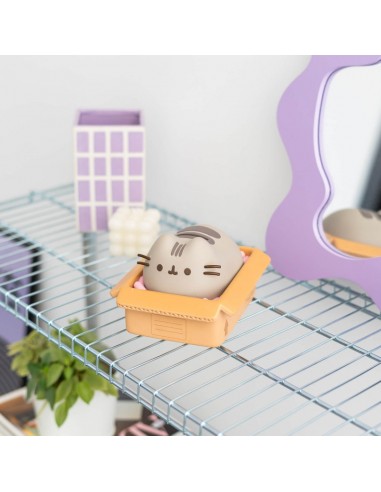 Pusheen - Salvadanaio in vinile kawaii