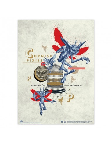 Harry Potter - Set di 2 poster da...