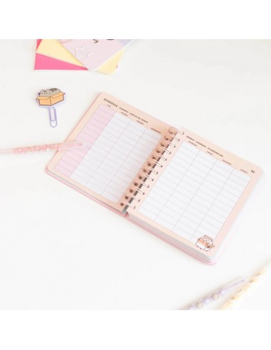 Pusheen - Calendario/Agenda...