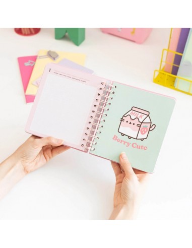 Pusheen - Calendario/Agenda...