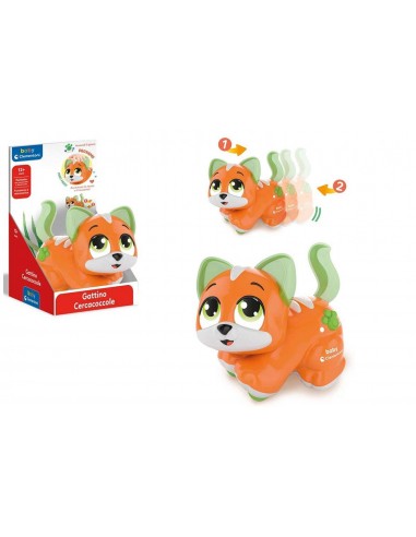 Gattino Cercacoccole