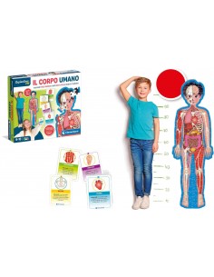 Sapientino Montessori Il Corpo Umano 2