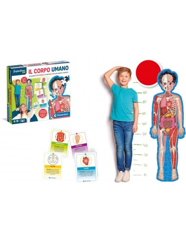 Sapientino Montessori Il Corpo Umano