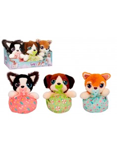 Baby Paws Cuccioli Adorabili