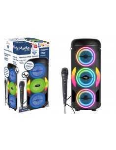 Ibiza Amplificatore e Microfono wireless 2