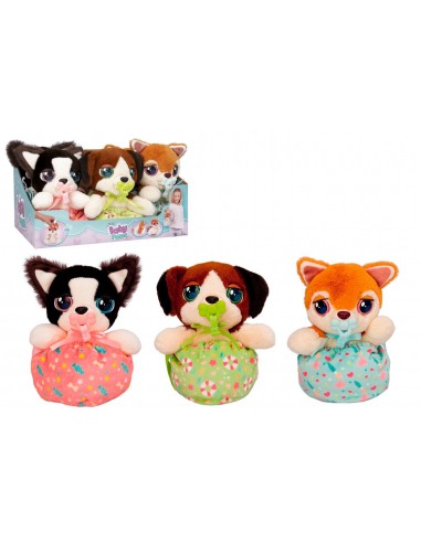 Baby Paws Cuccioli Adorabili