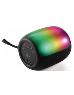 Seattle Amplificatore Wireless con 2 Microfoni