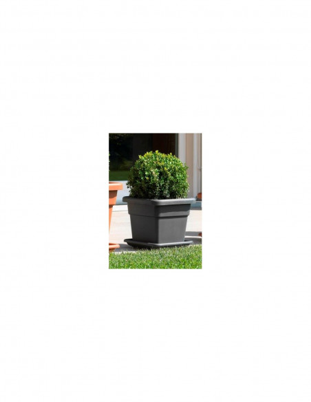 FIORIERA MAXI QUADRA 32X32XH28 CM. COLOR ANTRACITE
