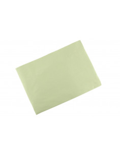 Lenzuolo con angoli singolo Verde 2