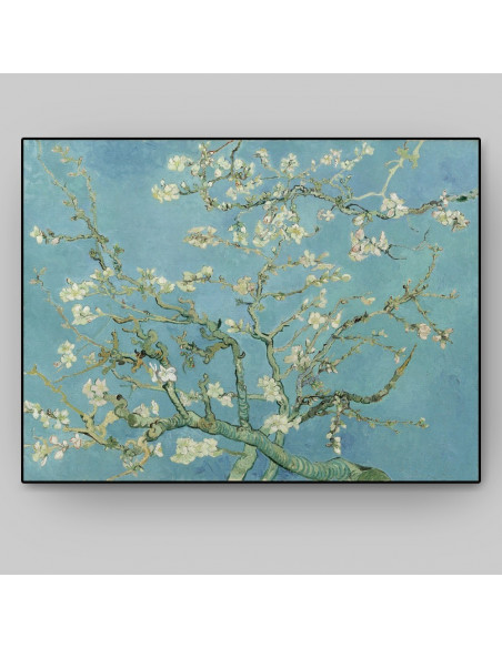 Van Gogh Rami di mandorlo in fiore Pannello Fotografico 66x50 cm
